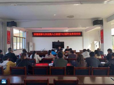 洪港镇召开第七次全国人口普查PAD操作业务培训会