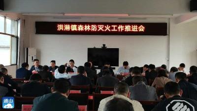 洪港镇：多措并举筑牢森林防火墙