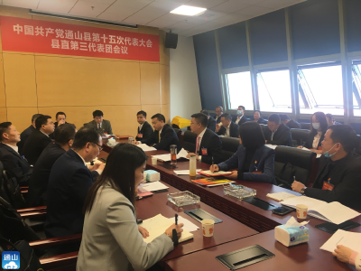 【聚焦党代会】V视丨刘子恒参加各代表团分组讨论