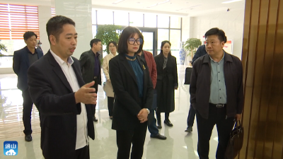 V视 |市委意识形态督查组来通山开展专项督查工作  