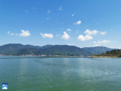通山：异地专家网上同步评标通山98个公共资源项目阳光交易