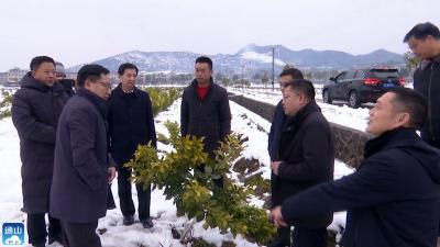 V视 | 省农业农村厅副厅长肖长惜来通山调研雪后农业受灾情况  