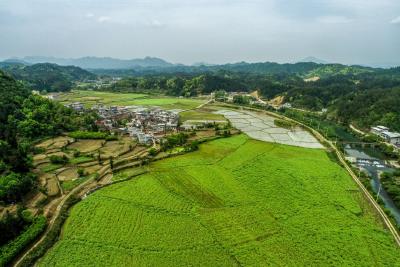 云上咸宁——通山：育秧工厂化 插秧机械化 助力粮食生产