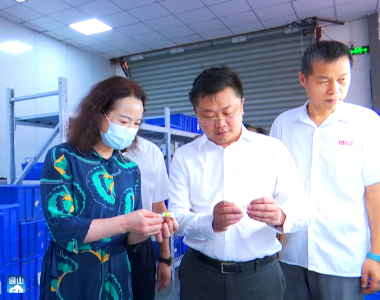 V视丨省委外事办领导来通山调研