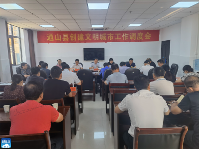 【创建文明城市 建设秀美通山】V视 | 通山：召开创建文明城市工作调度会