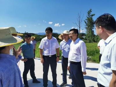 【坚决打赢抗大旱保民生攻坚战】V视丨刘子恒督导调研抗旱减灾工作时强调：  树牢底线思维，强化风险研判，切实把抗旱减灾各项措施落细落实