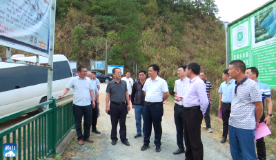 V视丨县人大常委会开展水利基础设施建设和水利工程管护情况专题调研