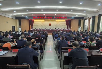 【深入学习贯彻党的二十大精神】V视丨陈洪豪：学习宣传贯彻党的二十大精神作为全县首要政治任务  一鼓作气把通山发展推进到一个新的高度