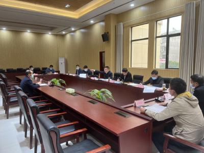 V视 | 刘子恒主持召开政府投资项目决策管理委员会2022年第4次会议