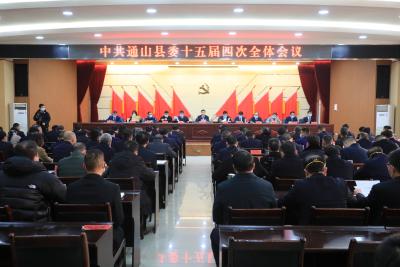 V视丨中共通山县委十五届四次全体会议举行