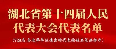 湖北省第十四届人民代表大会代表名单 