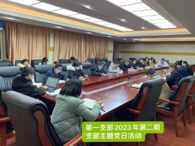 通山县人民法院召开2022年度基层党组织组织生活会 