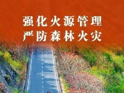 【公益广告】海报丨护林防火，人人有责！这组海报请收好 