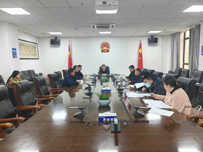 V视丨刘子恒主持召开政府投资项目决策管理委员会2023年第3次会议  