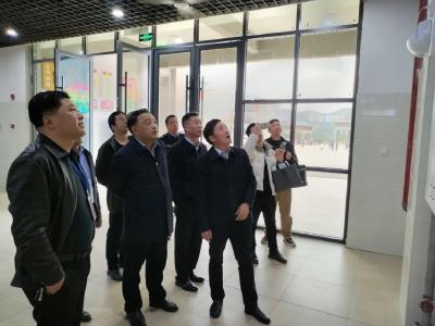 市政府副秘书长王能强到通山检查督导食品安全