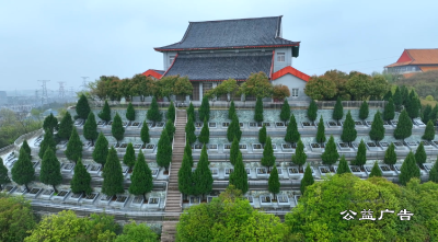 【公益广告】短视频｜传承古风 文明祭扫