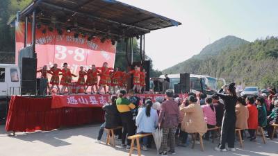 V视丨通羊镇岭下村举办“三八妇女节”专题晚会