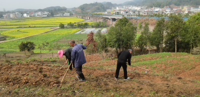 大路乡：全力以赴推进春耕生产