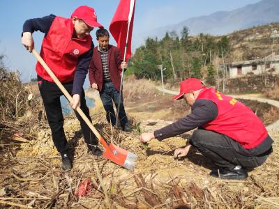 燕厦乡：党建引领添新绿  植树造林迎春风