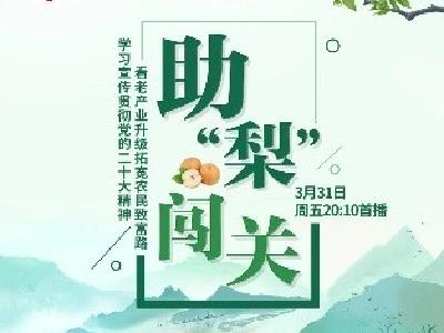 【节目预告】聚焦通山梨产业——《是这个理：助“梨”闯关》3月31日晚湖北电视台综合频道首播