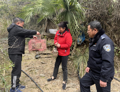 九宫山森林警察救治猫头鹰