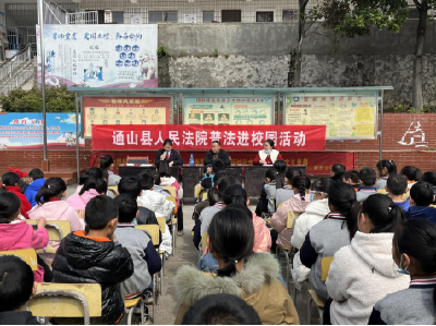 大畈镇板桥小学：“法制进校园，护航助成长”专题讲座