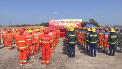 V视丨咸宁消防救援支队在通山开展森林灭火区域协同综合应急演练