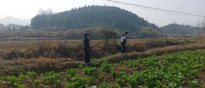 燕厦乡：开展2023年禁种铲毒踏查工作