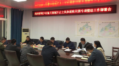 南林桥镇：安排部署乡村振兴领域不正之风和腐败问题专项整治工作