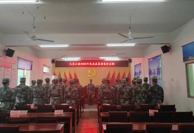 九宫山镇：常备不懈抓国防，民兵点验铸军魂