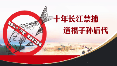 【公益广告】短视频 | 通山：十年禁渔 共护长江