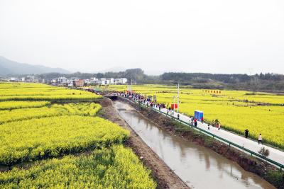 【党旗在一线飘扬⑧】大路乡：“一村多”奔赴乡村  旅游开发一线  助力乡村振兴