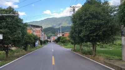 【乡村振兴看通山】闯王镇高湖村：人行道的路平了，老百姓的心顺了 