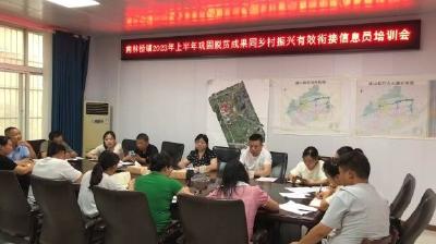 南林桥镇：召开第二季度乡村振兴信息员培训会 