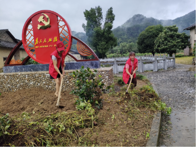 闯王镇：持续开展村庄清洁 助力家园提质增颜