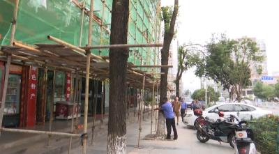 V视 | 路边的树别乱砍！通山一男子擅自砍伐行道树被立案查处