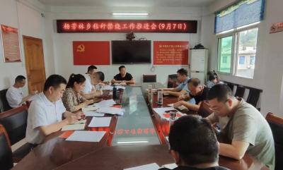 杨芳林乡：筑牢秸秆禁烧“防火墙”