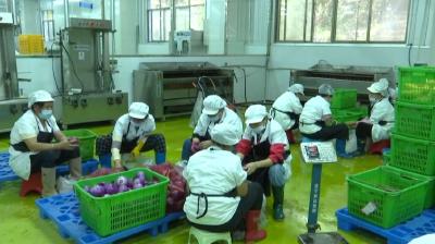  通山：全力保障校园餐饮安全
