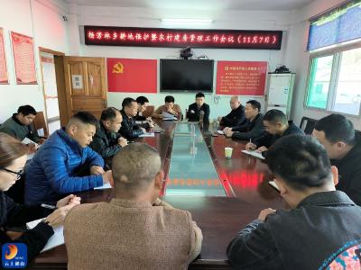 杨芳林乡：守牢耕地红线 全力提升农村建房管理