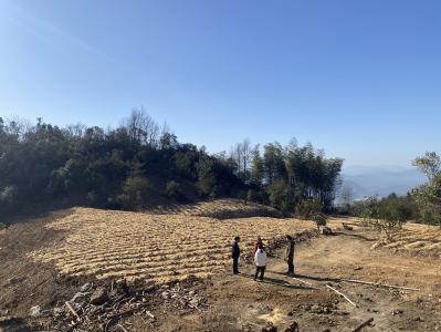 长江云——湖北通山：林下生“精”  荒山添绿又增收