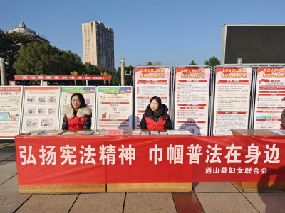 县妇联开展“国家宪法日”宣传活动