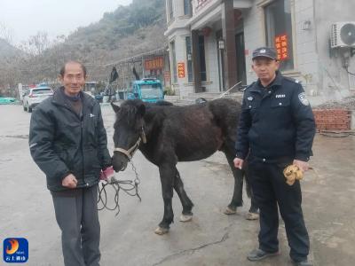 马儿跨省“任性出逃”，民辅警冰雪天找到失主