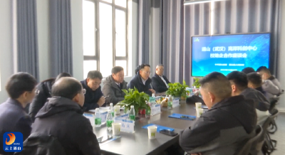 V视丨通山（武汉）离岸科创中心校地企合作座谈会召开 