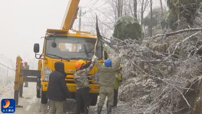 浴“雪”奋战！国网通山供电公司电力抢修送温暖