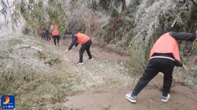 通山：干群合力 砍竹除冰保畅通