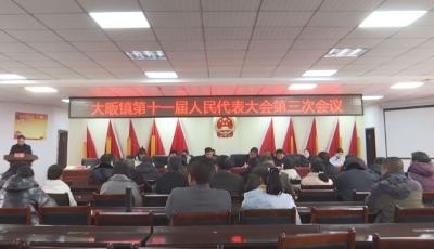 V视丨大畈镇第十一届人民代表大会第三次会议召开