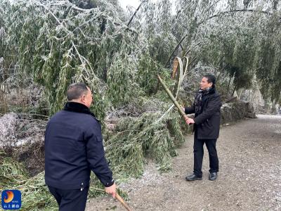 大畈镇：“三个坚持”积极做好春运期间低温雨雪冰冻天气防范应对工作