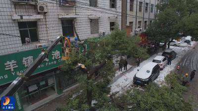 【防范应对新一轮低温雨雪冰冻天气】V视丨国网通山县供电公司：清障抢修显担当 全力保障市民正常用电