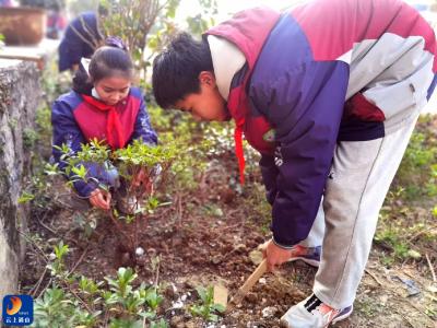 县实验中学：开展植树节志愿服务活动