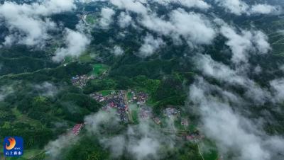 县住建局： “三点发力”推动城乡“美美与共”